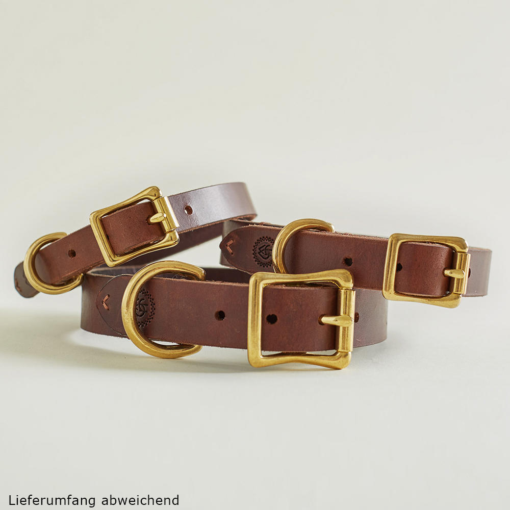 Collier de chien Helen Wells » Classic «, noisette, XXL