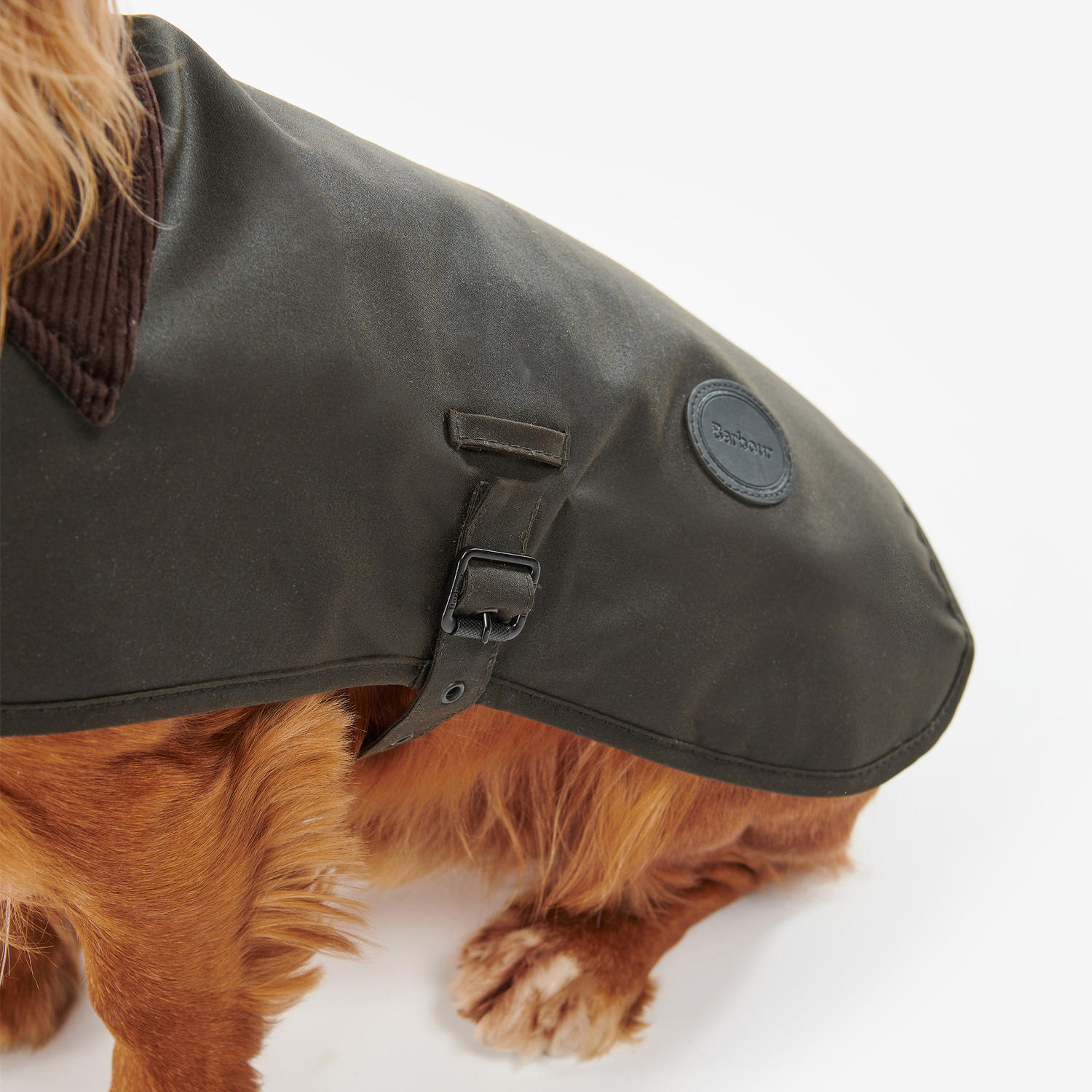 Manteau ciré pour chien Barbour, vert olive, taille M