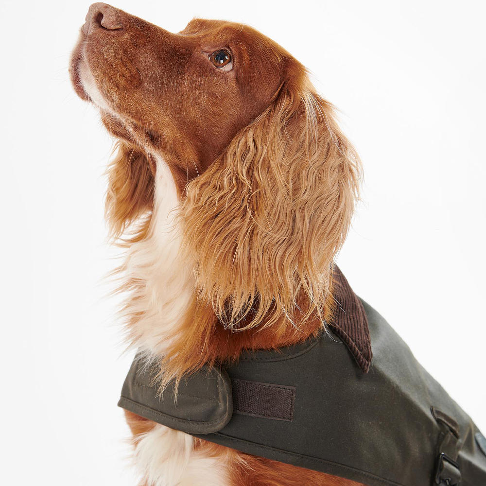 Manteau ciré pour chien Barbour, vert olive, taille M