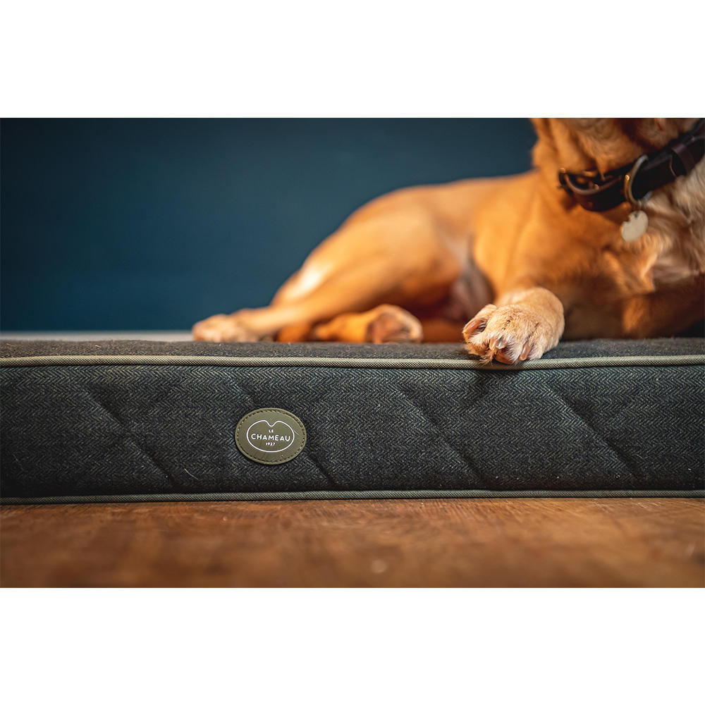 Le Chameau Padded Dog Bed, Vert Chameau, Size S
