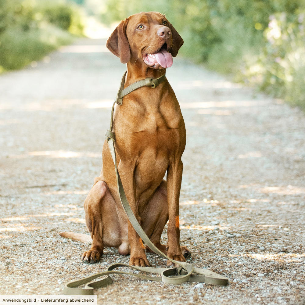 The GunDog Affair Silent Leash