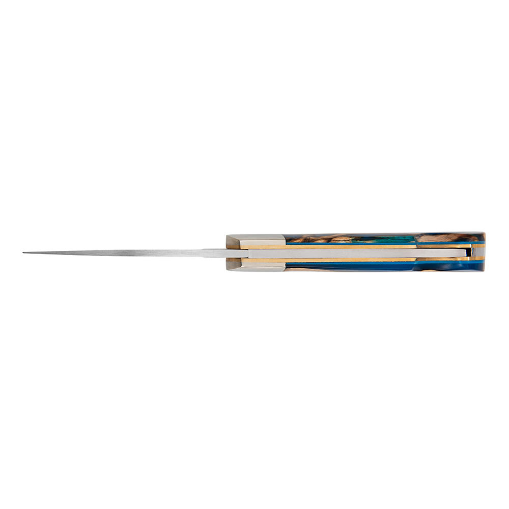 Stoneworks Klappmesser Kaktus, blau