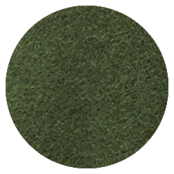Forêt