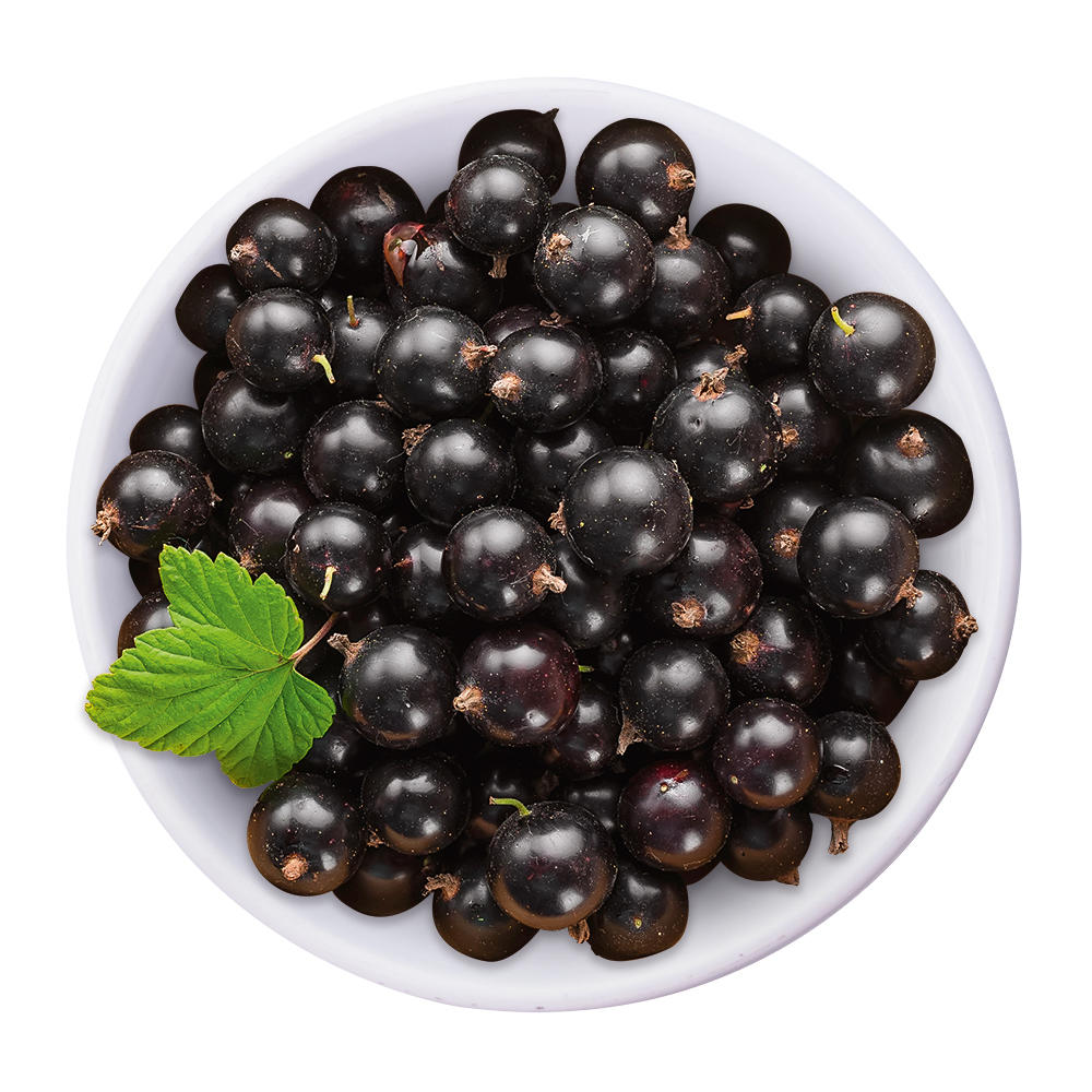 Schwarze Johannisbeere-Balsamessig