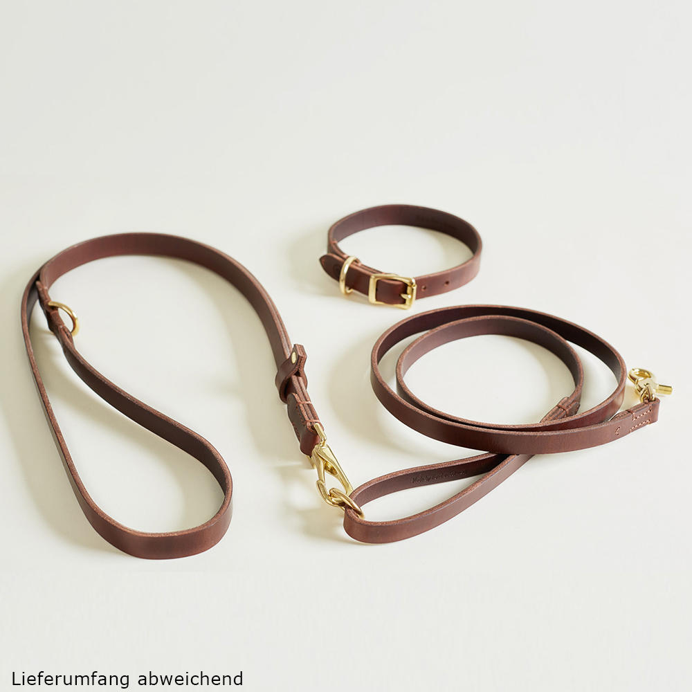 Collier de chien Helen Wells » Classic «, noisette, XXL