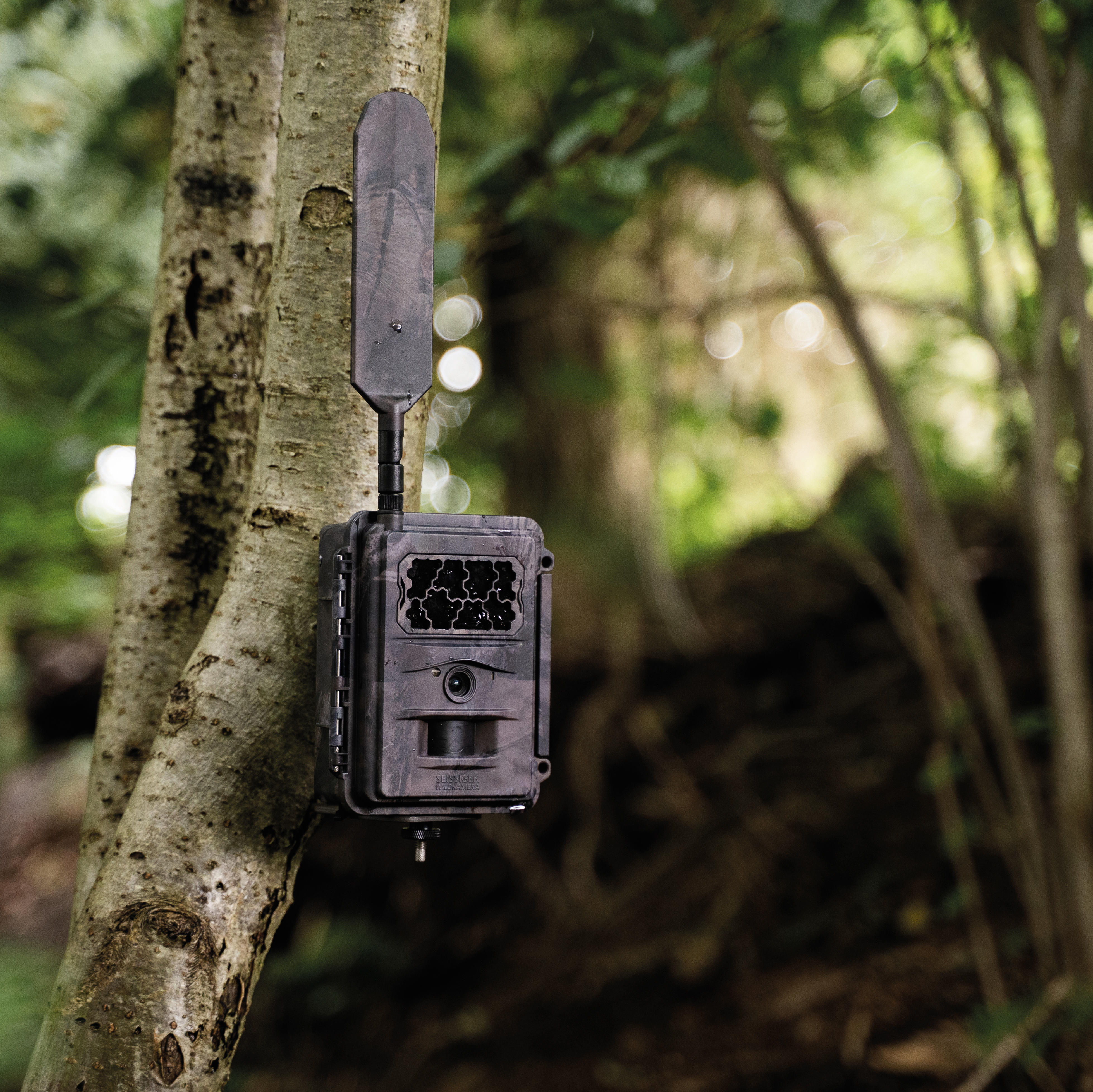 Seissiger Base-Cam LTE, SUPERSIM-Edition, incl. Batteries