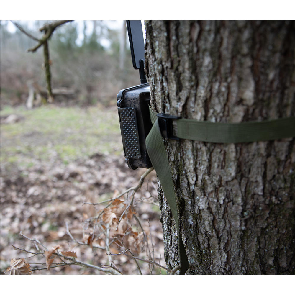 Sessiger Tree Strap for Wildlife Cameras
