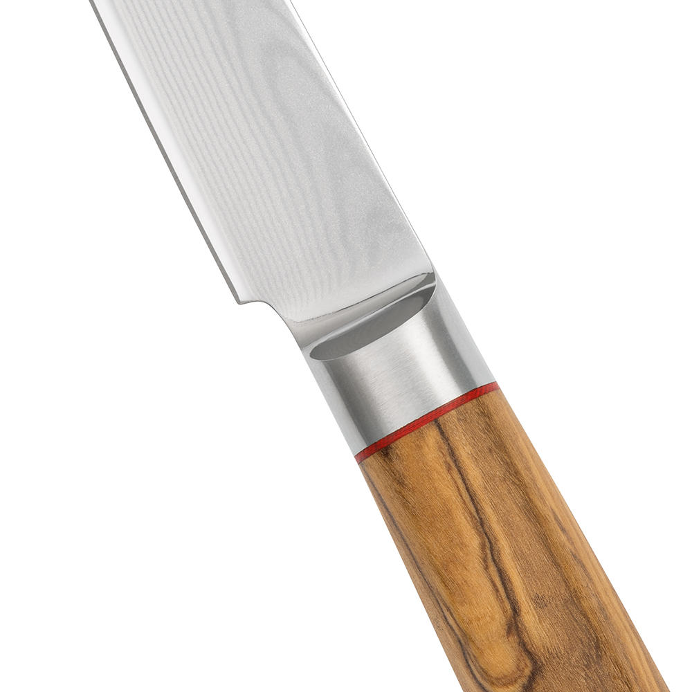 DICTUM® Messerserie »Olive«, Petty (kleines Universalmesser)