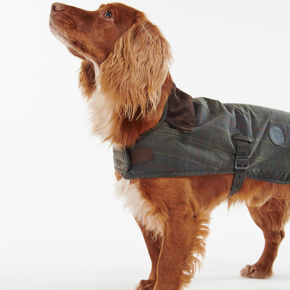 Barbour Hundemantel Wachs, classic tartan