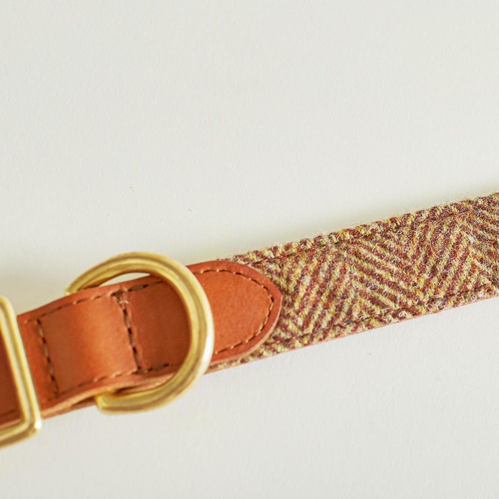 Helen Wells Hundehalsband »Tweed Classic«, beech, M+ 
