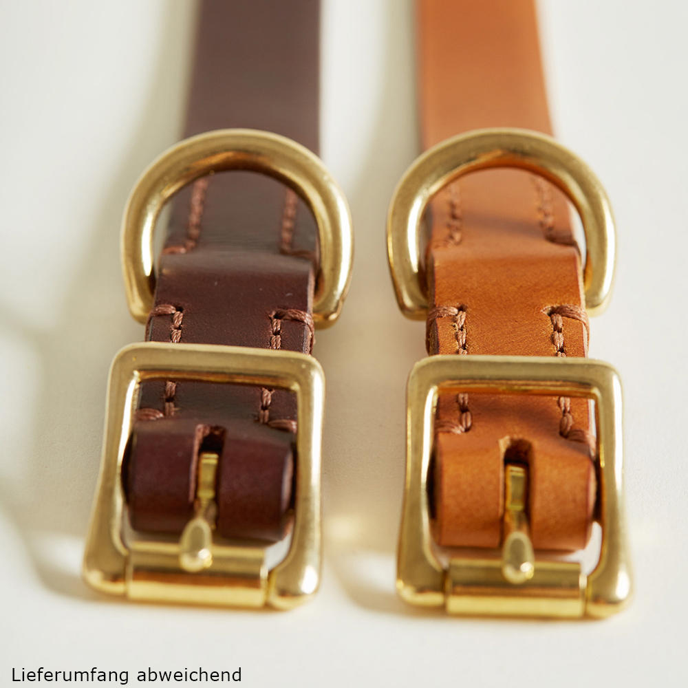 Collier de chien Helen Wells » Classic «, noisette, XXL