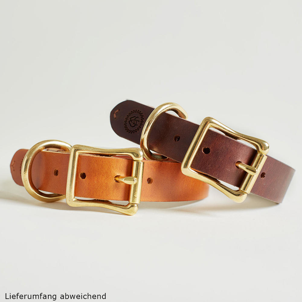 Helen Wells »Classic« Dog Collar, Cognac XS 