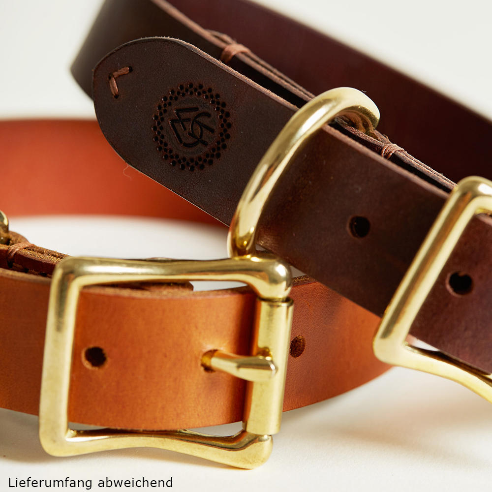 Collier de chien Helen Wells » Classic «, noisette, XXL