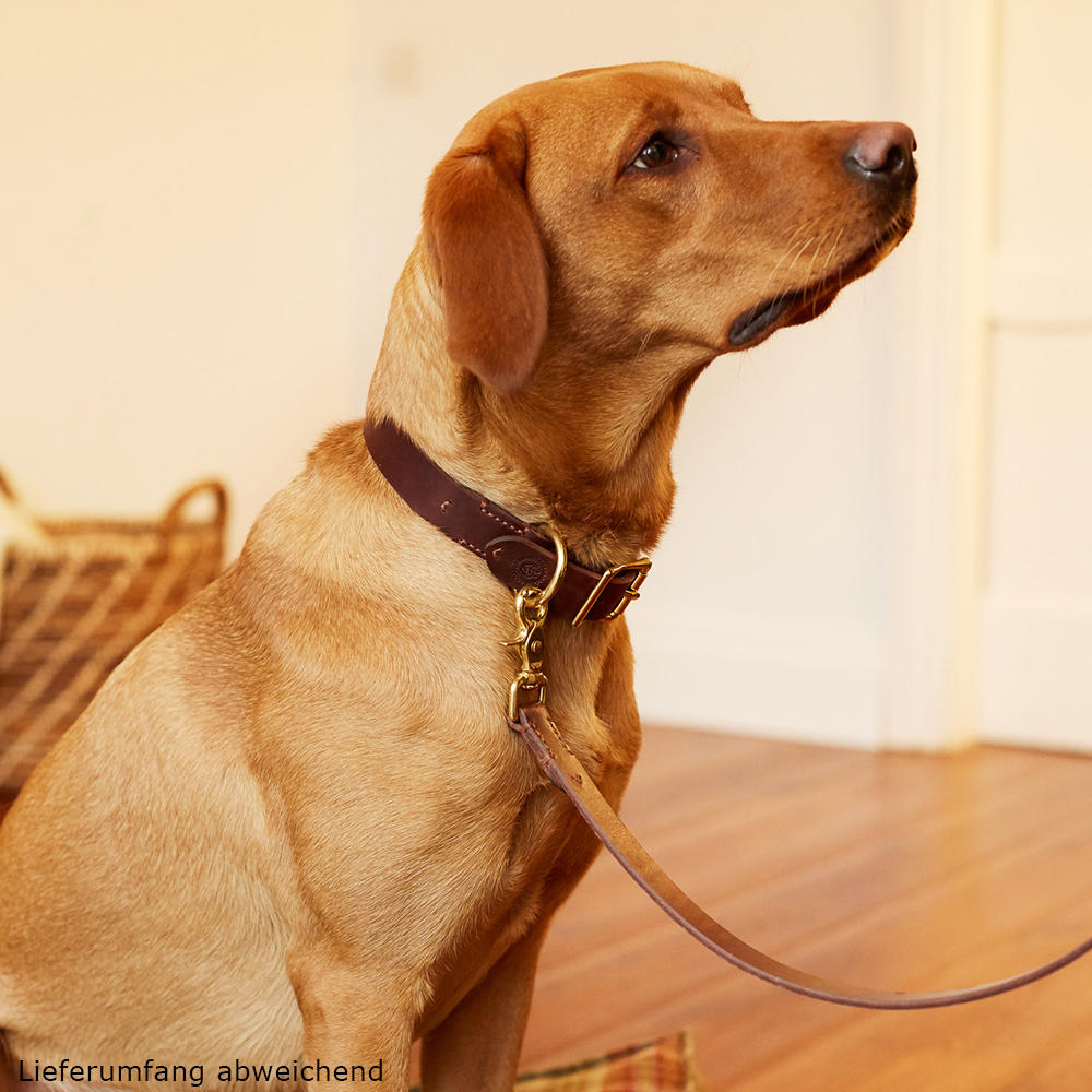 Collier de chien Helen Wells » Classic «, noisette, XXL