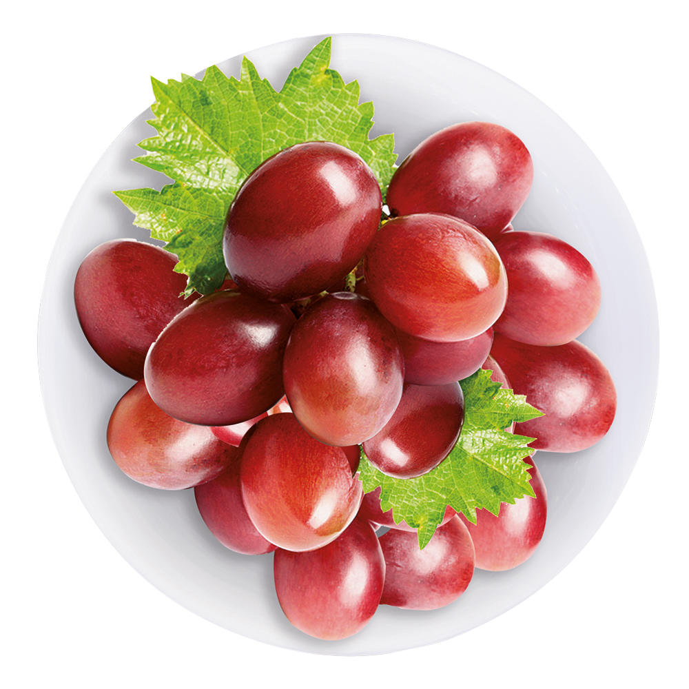 Vinaigre de Vin Rouge