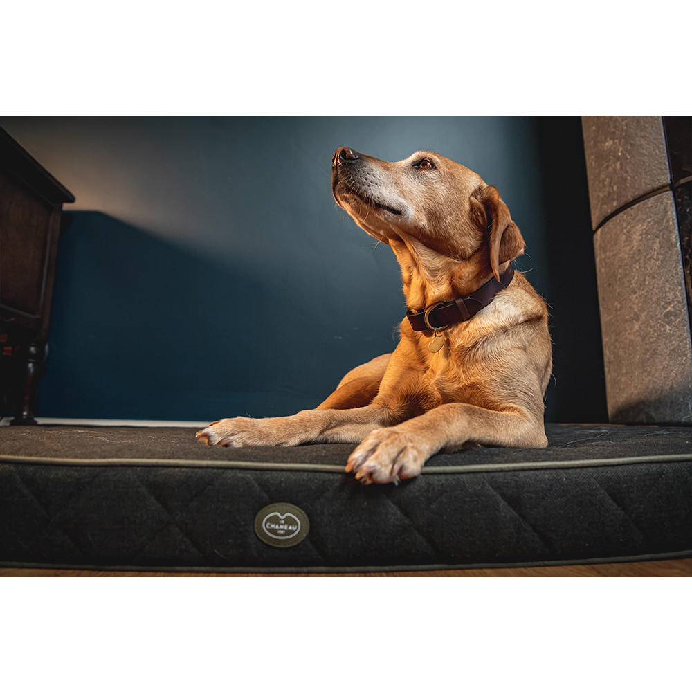 Le Chameau Padded Dog Bed, Vert Chameau, Size S