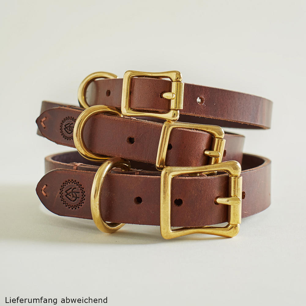 Collier de chien Helen Wells » Classic «, noisette, XXL