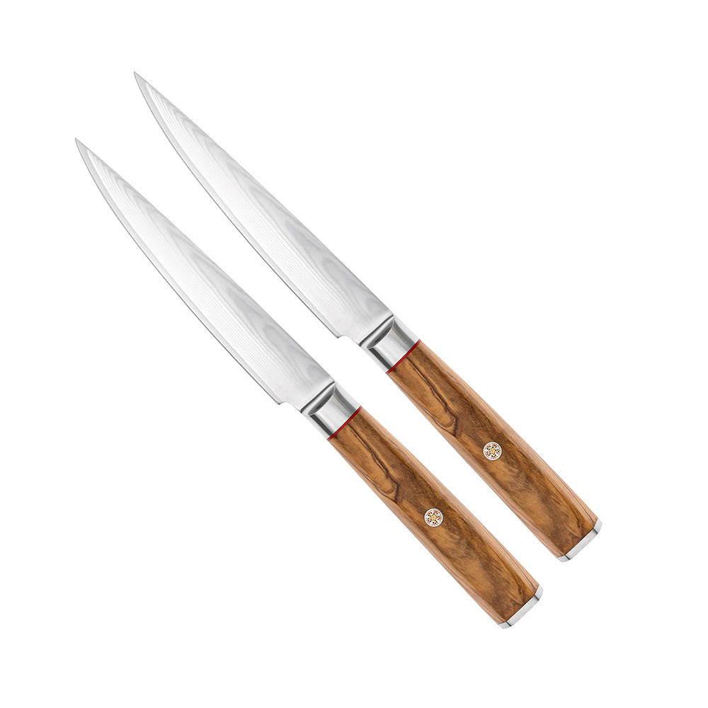 Couteaux de table et couteaux à viande DICTUM® » Olive «, jeu, 2 pièces