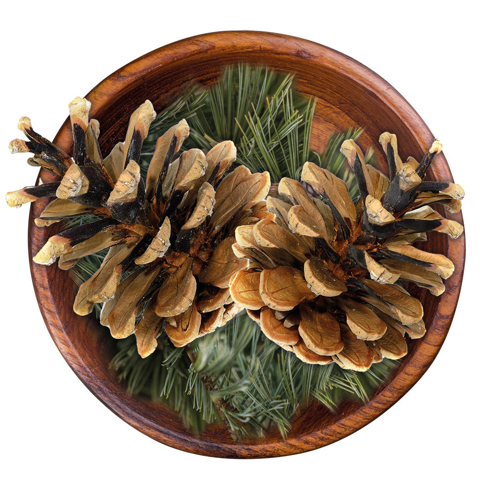 Swiss Stone Pine Vinegar
