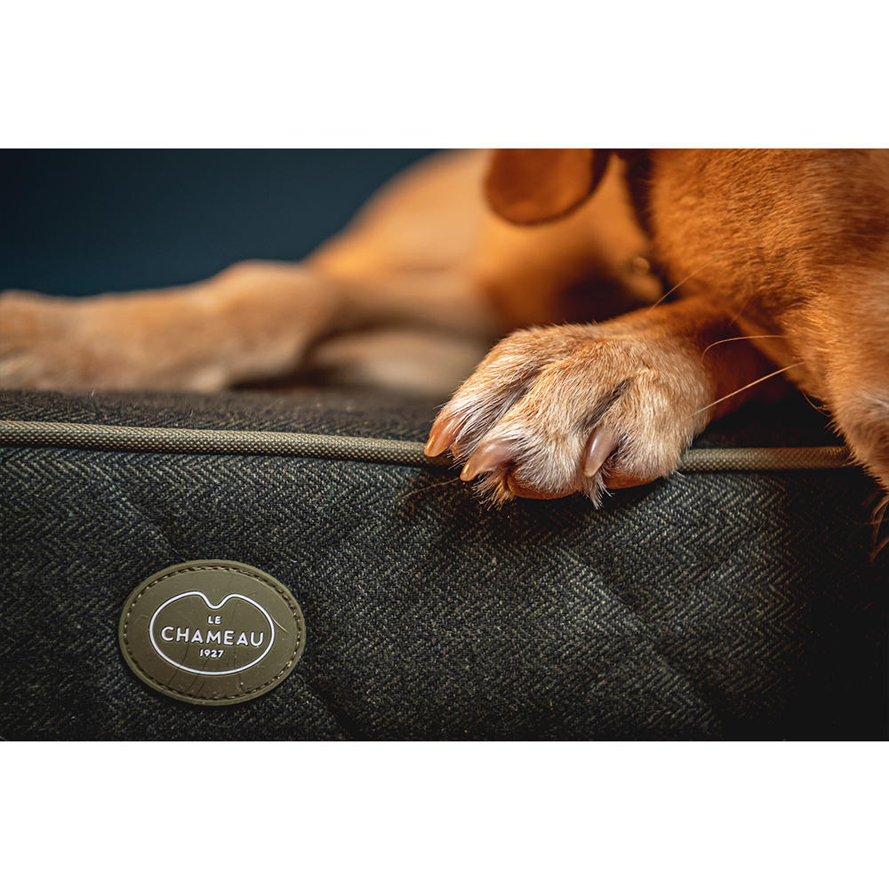 Le Chameau Padded Dog Bed, Vert Chameau, Size S
