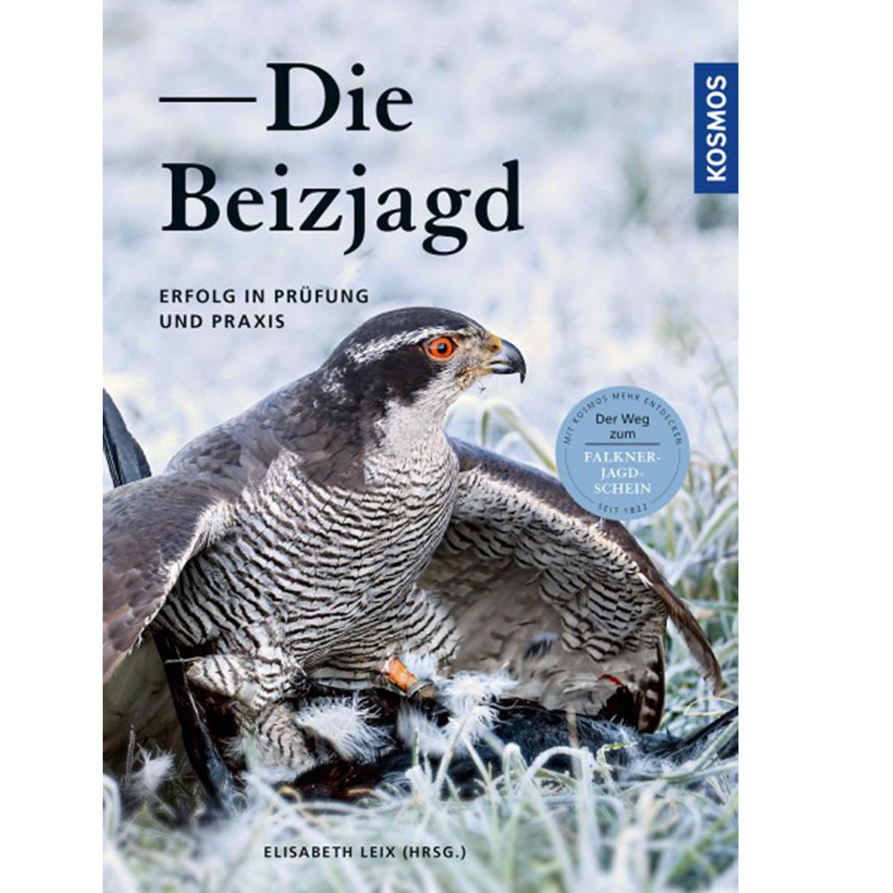 Die Beizjagd